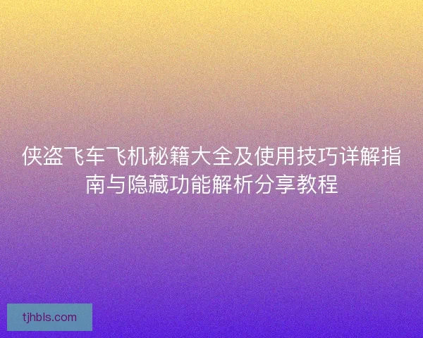 侠盗飞车飞机秘籍大全及使用技巧详解指南与隐藏功能解析分享教程